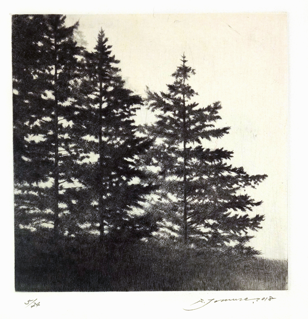 Shigeki Tomura | Artist Feature
