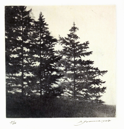 Shigeki Tomura | Artist Feature