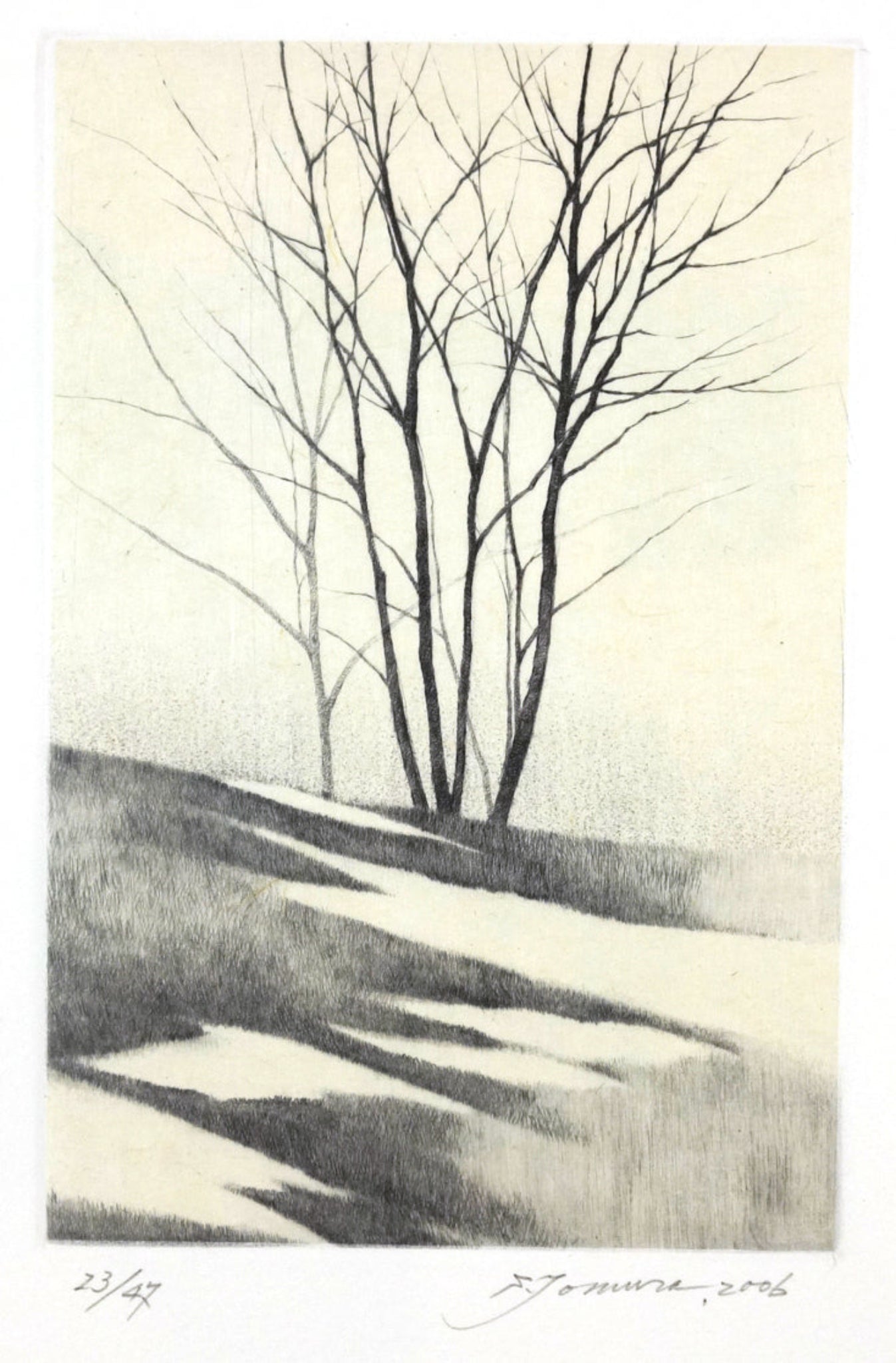 Shigeki Tomura