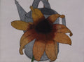 Daisy, Watering Can and Shovel by Art Hansen - Davidson Galleries