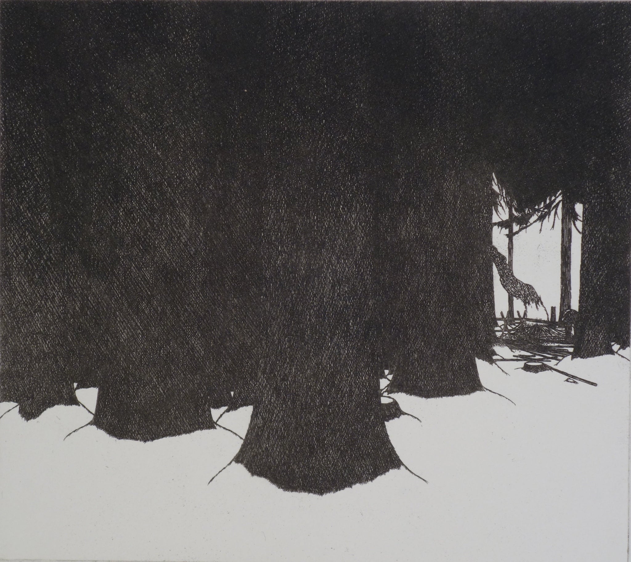 Winter, Forest, and the Woodcutter