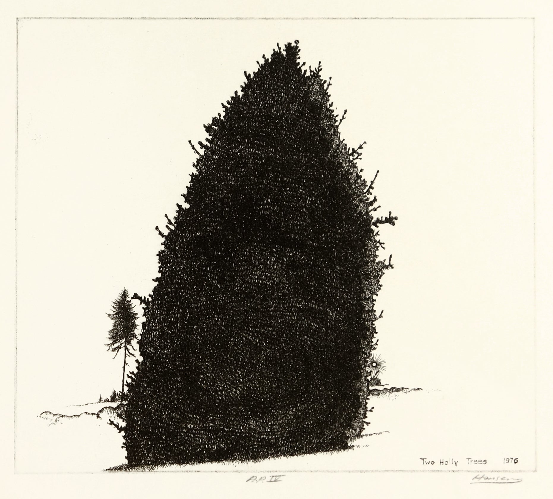Two Holly Trees