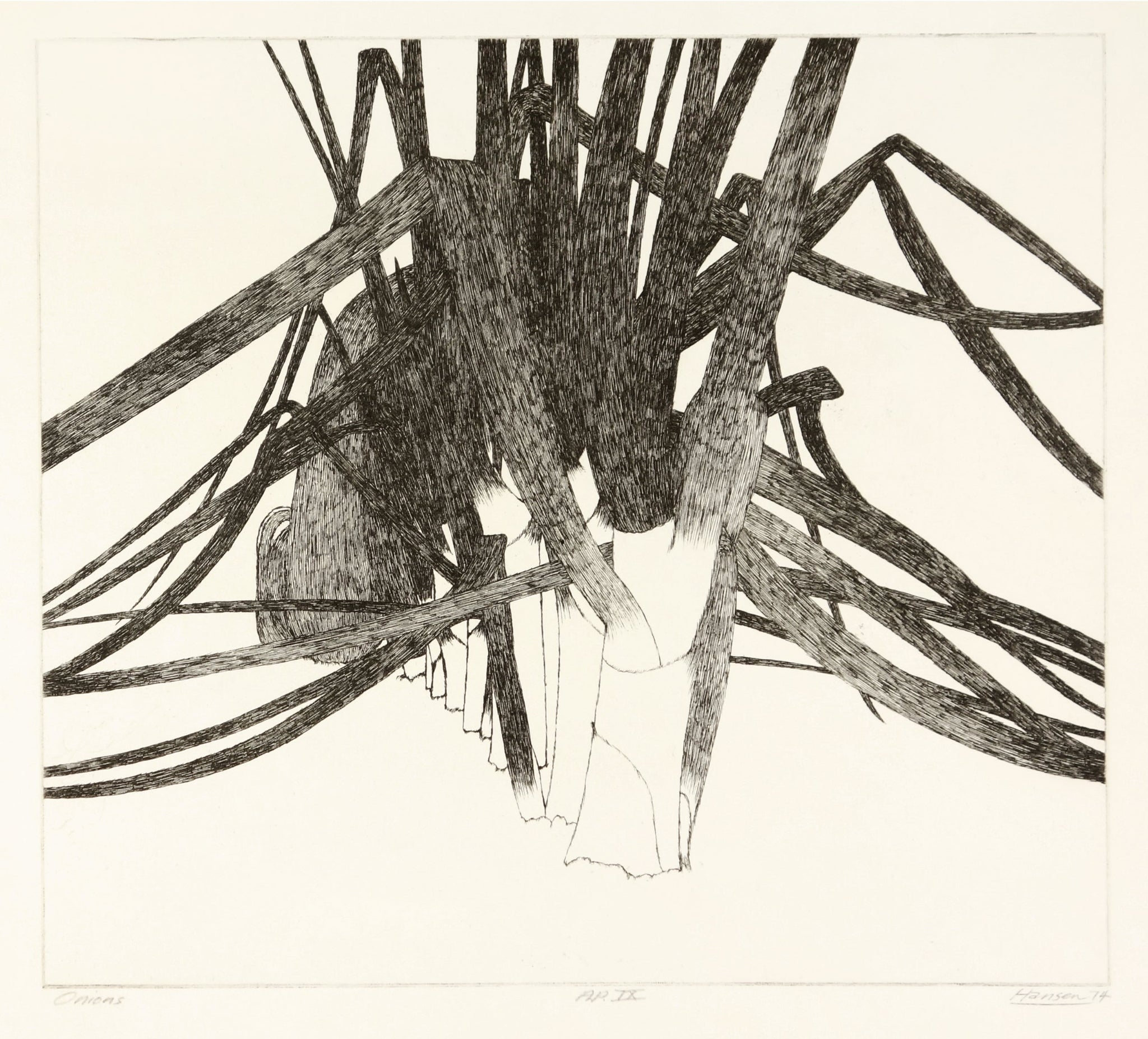 Onions by Art Hansen - Davidson Galleries