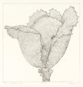 The Cabbage Head by Art Hansen - Davidson Galleries