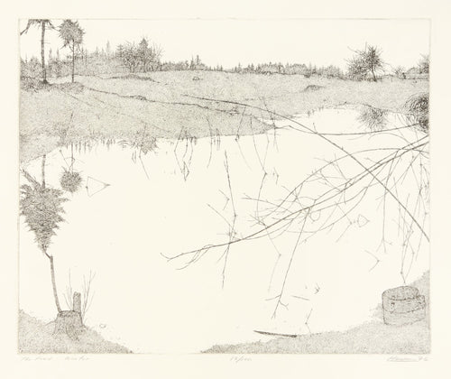 The Pond - Winter by Art Hansen - Davidson Galleries
