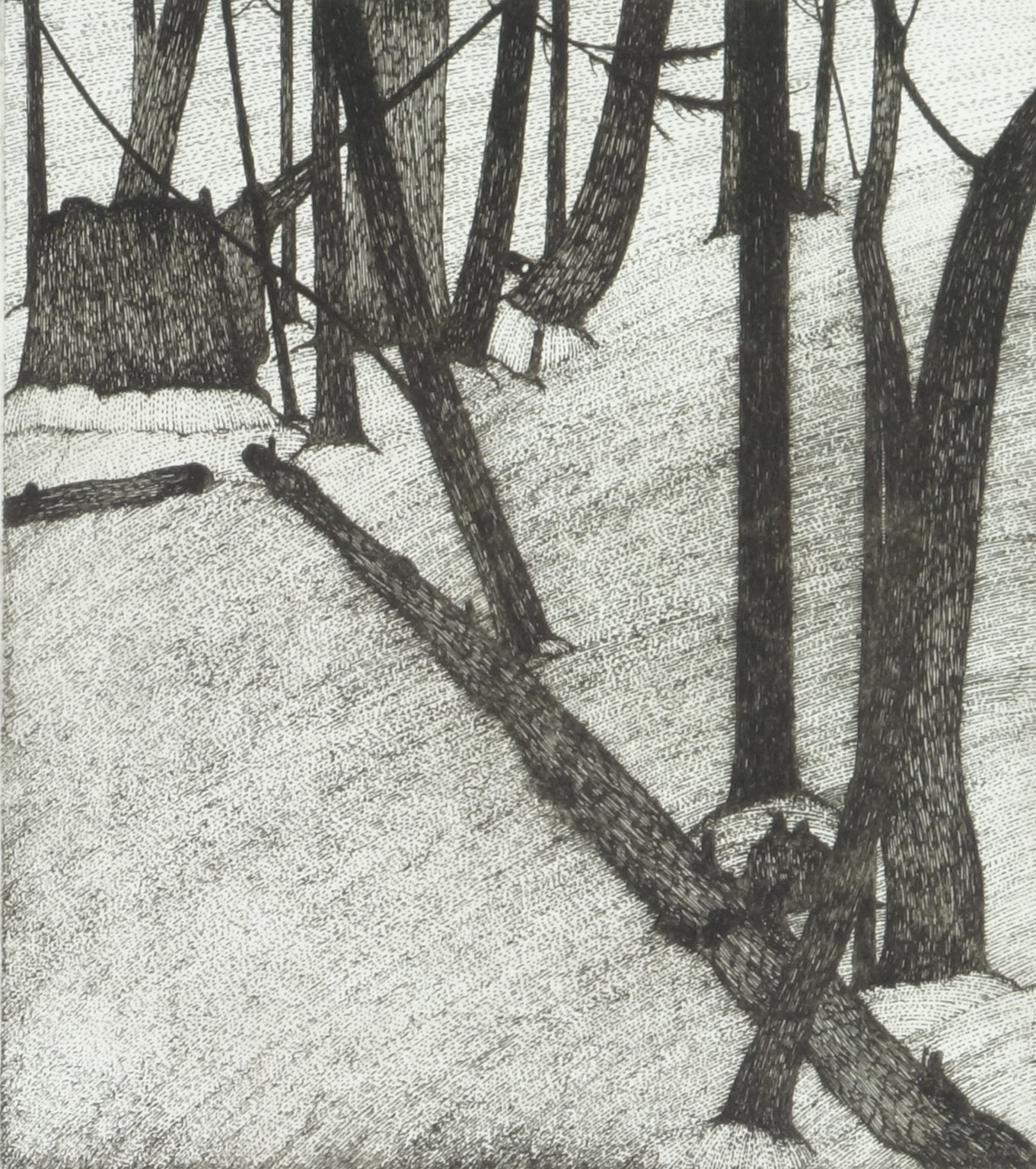 Forest and Man Clearing 1979 by Art Hansen - Davidson Galleries
