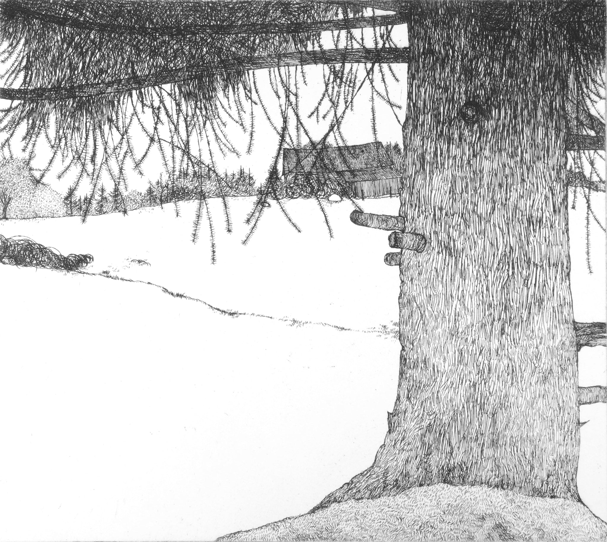Island Farm May 1975 by Art Hansen - Davidson Galleries