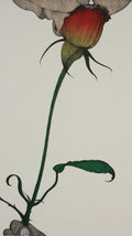 Man and Rose
