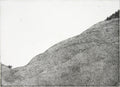Mountain Pasture