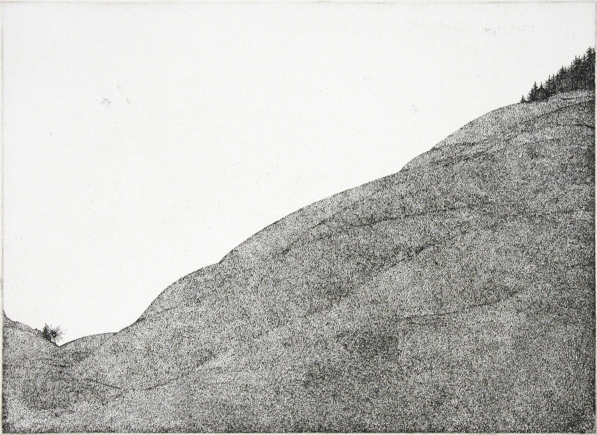 Mountain Pasture