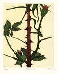 Roses 1991 by Art Hansen - Davidson Galleries