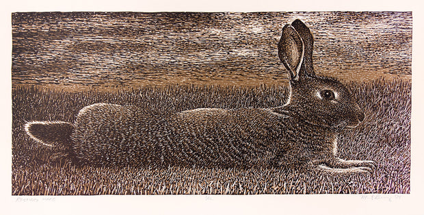 Resting Hare by Marit Berg - Davidson Galleries