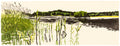 Summer by Eva Pietzcker - Davidson Galleries