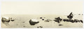 Baltic Sea Stones by Eva Pietzcker - Davidson Galleries
