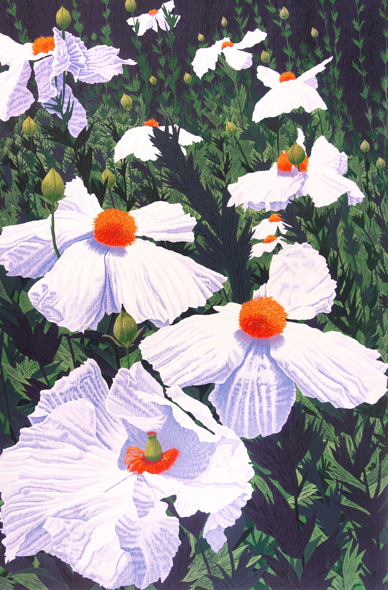 Matilija Poppies by Gordon Mortensen - Davidson Galleries