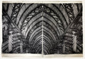 Palm House (Umbracle Barcelona) by Jenny Robinson - Davidson Galleries