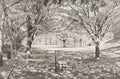 The Sunshine Filtering Through Foliage #4 by Keisuke Yamamoto - Davidson Galleries
