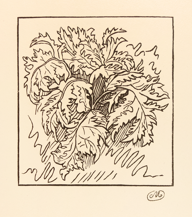 Acanthus by Aristide Maillol - Davidson Galleries