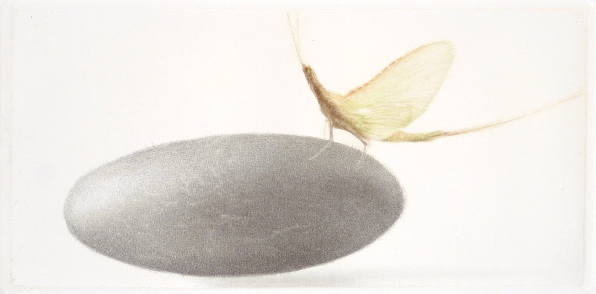 Ephemere by Mikio Watanabe - Davidson Galleries