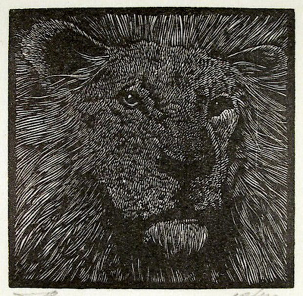 Lion from Bestiaire D'Amour by Barry Moser - Davidson Galleries