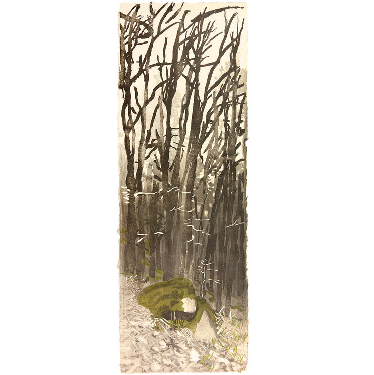 Rocks in the Forest by Eva Pietzcker - Davidson Galleries