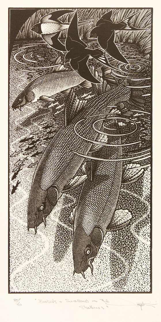 Barbels and Swallows in the Shallows by Colin See-Paynton - Davidson Galleries