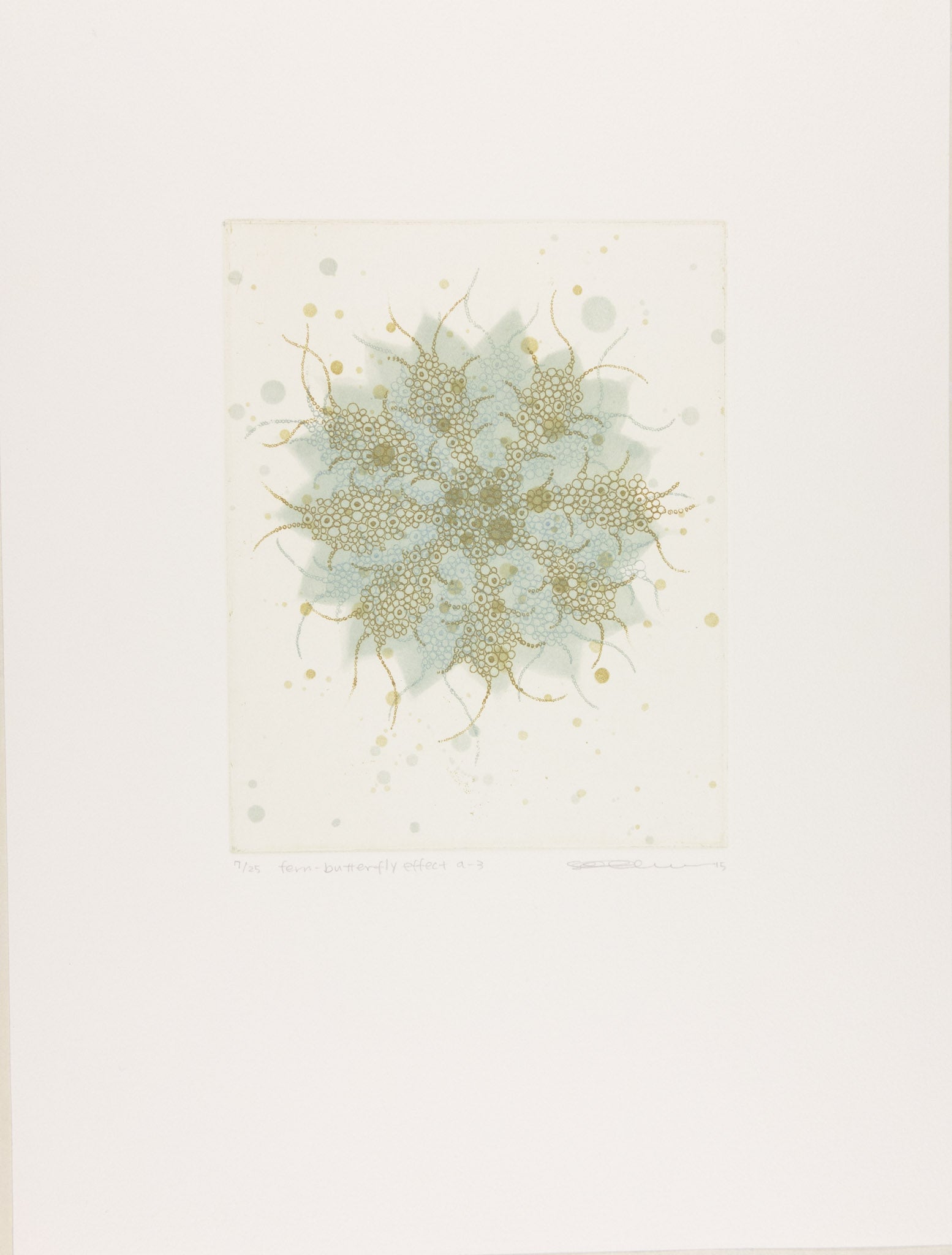 Fern-butterfly effect a-3