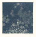 Cosmos - Scene A-20 by Seiko Tachibana - Davidson Galleries