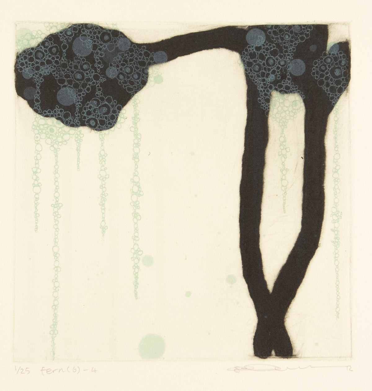 Fern (6) - 4