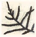 Fern-7a by Seiko Tachibana - Davidson Galleries