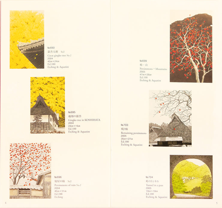 Tanaka Ryohei, Etchings - Catalogue Raisonné 2000-2006 by Ryohei Tanaka - Davidson Galleries