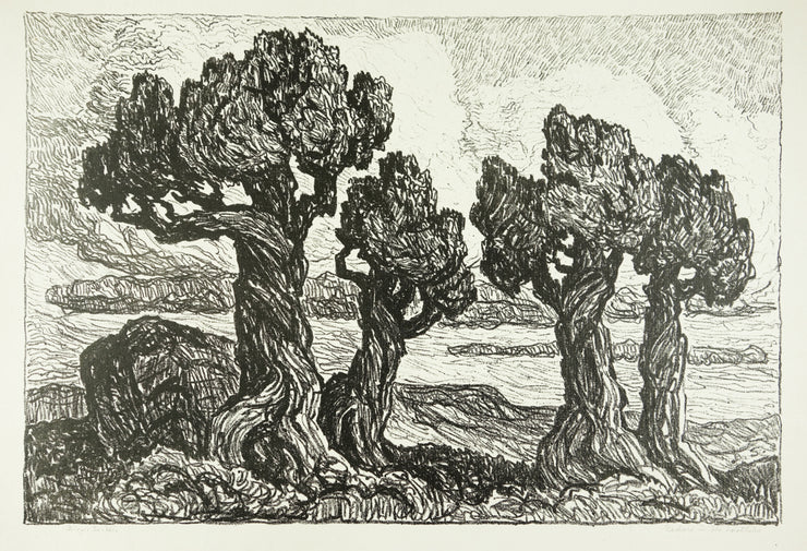 Cedars in the Foothills by Sven Birger Sandzen - Davidson Galleries