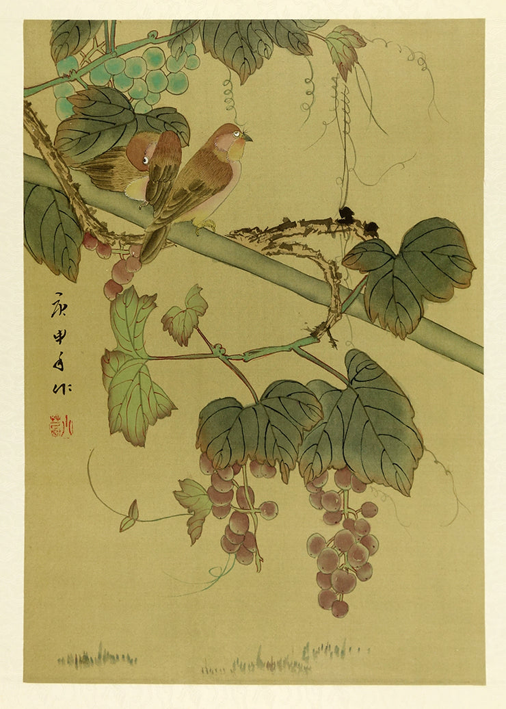 Grapes by Artist Unidentified - Davidson Galleries