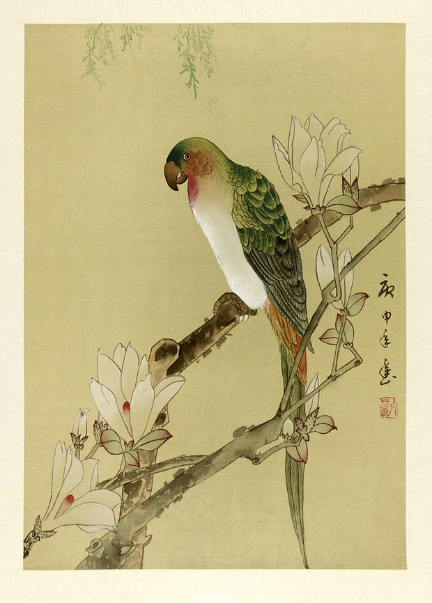 Parrot by Artist Unidentified - Davidson Galleries