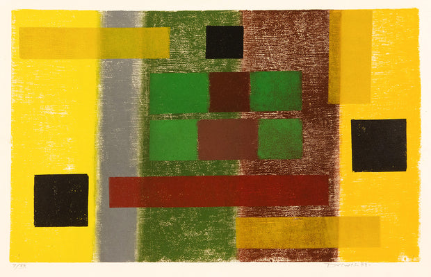 Interwoven Color, Mayan Pyramid by Werner Drewes - Davidson Galleries