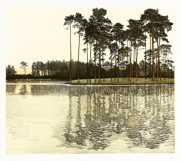 Pine Light by Phil Greenwood - Davidson Galleries