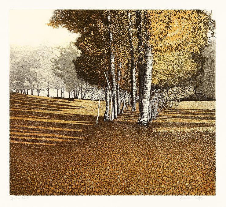 Amber Light by Phil Greenwood - Davidson Galleries