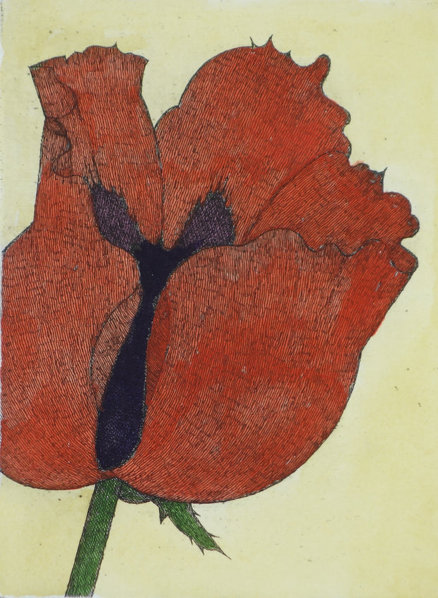 Poppy 1994 #2 by Art Hansen - Davidson Galleries