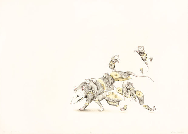 Opossum Deconstructed by Emmy Lingscheit - Davidson Galleries