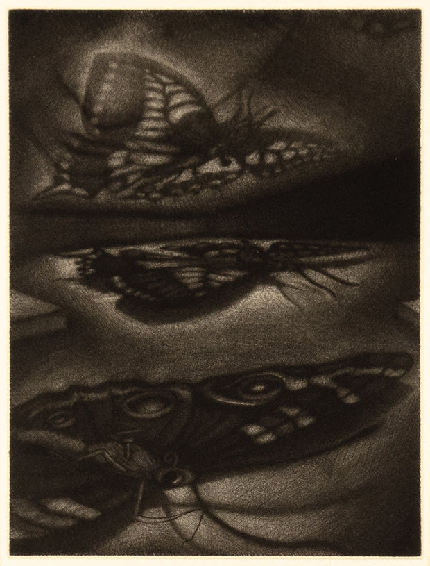 Only Human (Bound book of 17 mezzotints) by Carrie Lingscheit - Davidson Galleries