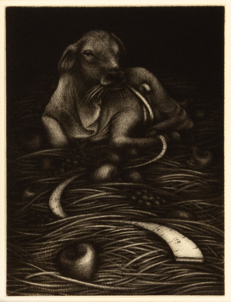 Only Human (Bound book of 17 mezzotints) by Carrie Lingscheit - Davidson Galleries