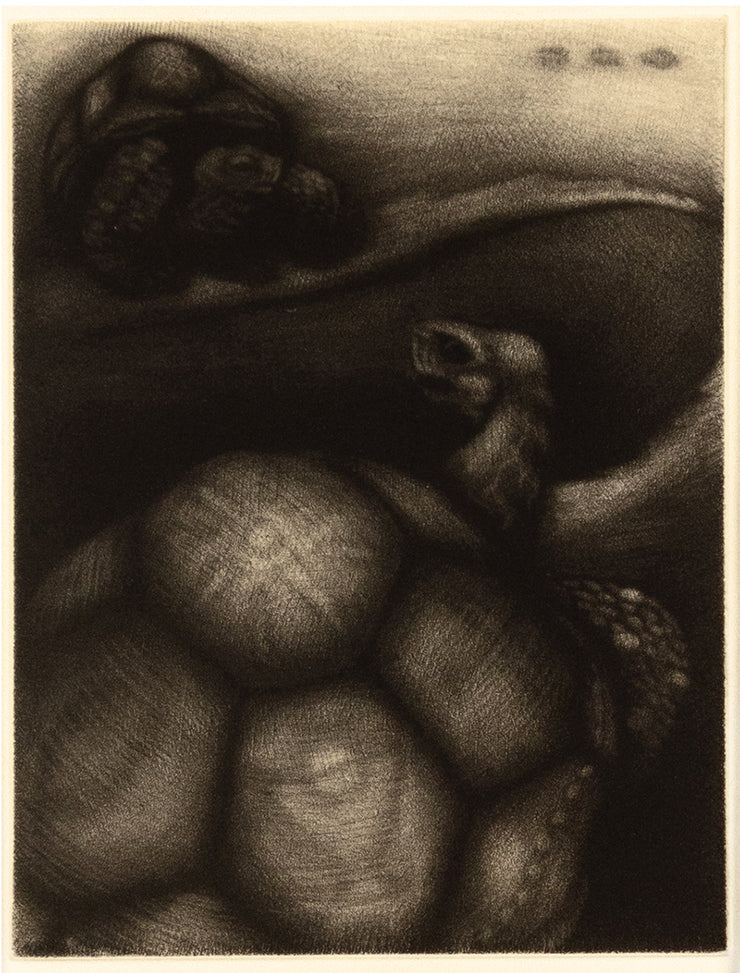 Only Human (Bound book of 17 mezzotints) by Carrie Lingscheit - Davidson Galleries