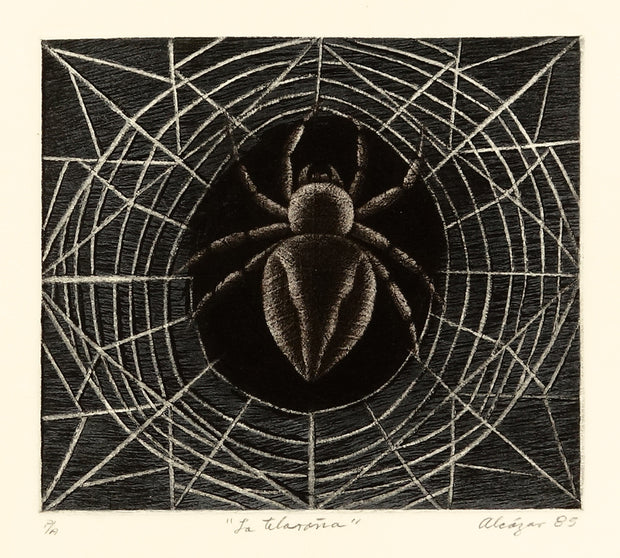 La Telaraña by Juan Alcazar Mendez - Davidson Galleries