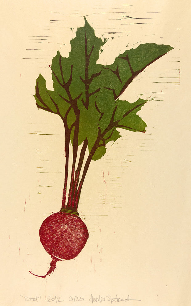 Beet by Charles Spitzack - Davidson Galleries