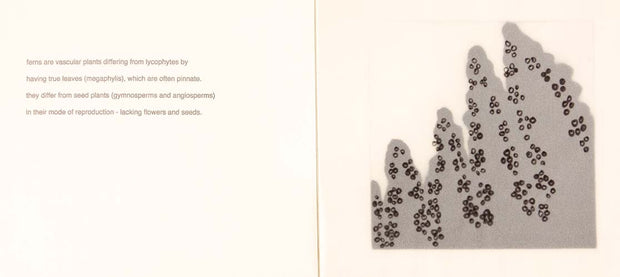 Fern (Artist Book) by Seiko Tachibana - Davidson Galleries