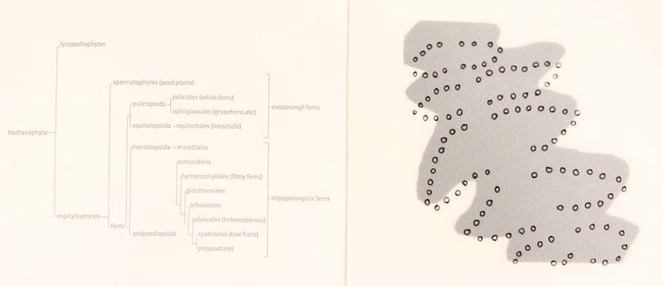 Fern (Artist Book) by Seiko Tachibana - Davidson Galleries