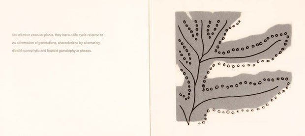 Fern (Artist Book) by Seiko Tachibana - Davidson Galleries