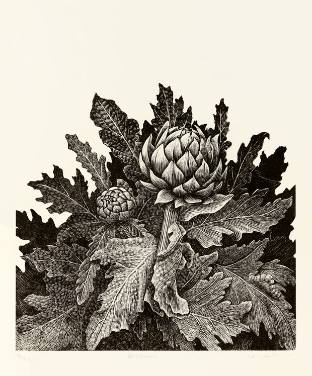 Artichoke by Geri Waddington - Davidson Galleries