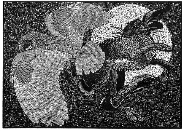 Nocturnal Encounters - Barn Owl and Hare by Colin See-Paynton - Davidson Galleries