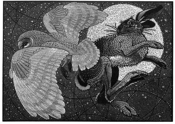 Nocturnal Encounters - Barn Owl and Hare by Colin See-Paynton - Davidson Galleries